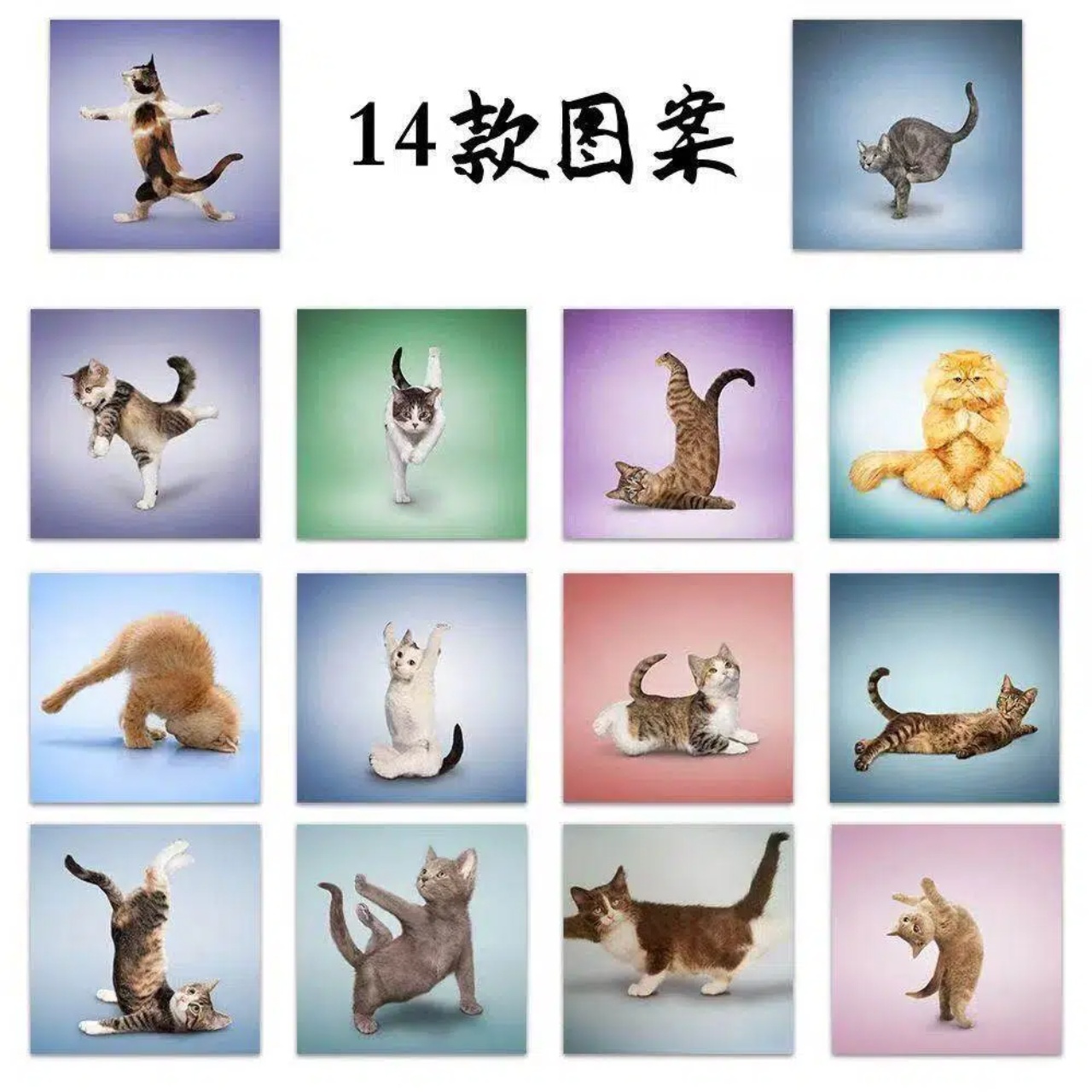 500pcs Cute Cat Roll Stickers  - Art Craft Journal recension och pris